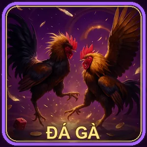 Đá Gà trực tiếp